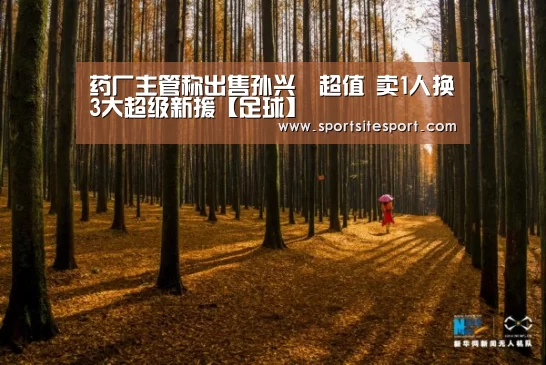 药厂主管称出售孙兴慜超值 卖1人换3大超级新援【足球】(图1) 足球