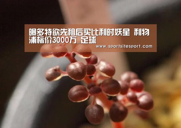 曝多特欲先租后买比利时妖星 利物浦标价3000万_足球(图2) 体育资讯