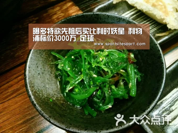 曝多特欲先租后买比利时妖星 利物浦标价3000万_足球(图1) 6686体育