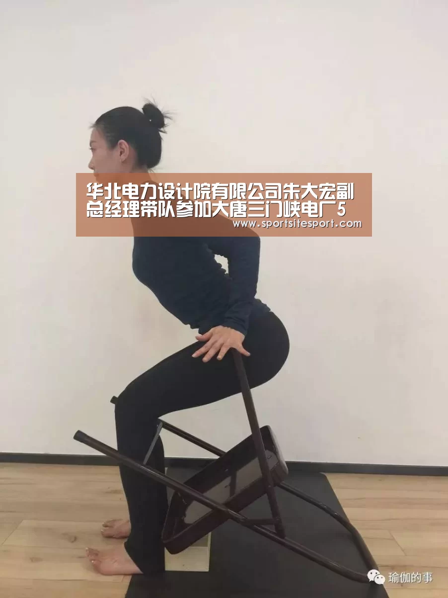 华北电力设计院有限公司朱大宏副总经理带队参加大唐三门峡电厂5号机组启委会会议‘赛事直播’(图3) 足球