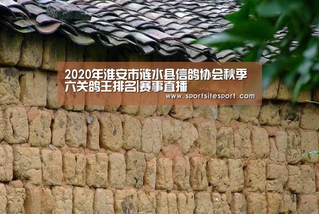 2020年淮安市涟水县信鸽协会秋季六关鸽王排名|赛事直播(图1) 足球
